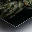 PHYTOLOGICAL_101 Metal print