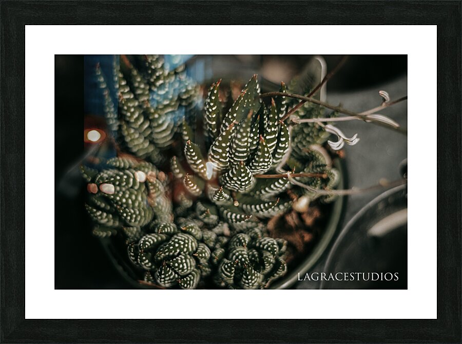 PHYTOLOGICAL_101 Picture Frame print