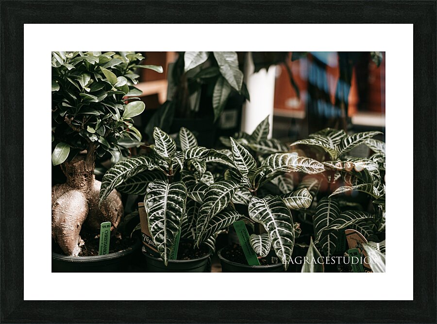 FOLIAGE Picture Frame print