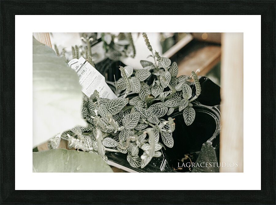  BRIGHT & AIRY Picture Frame print