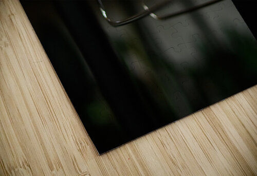 MOODY laGraceStudios puzzle