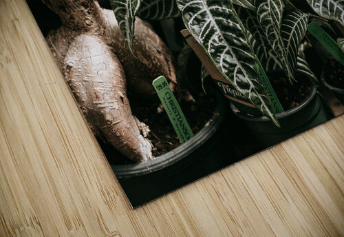 FOLIAGE laGraceStudios puzzle