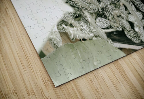  BRIGHT & AIRY laGraceStudios puzzle