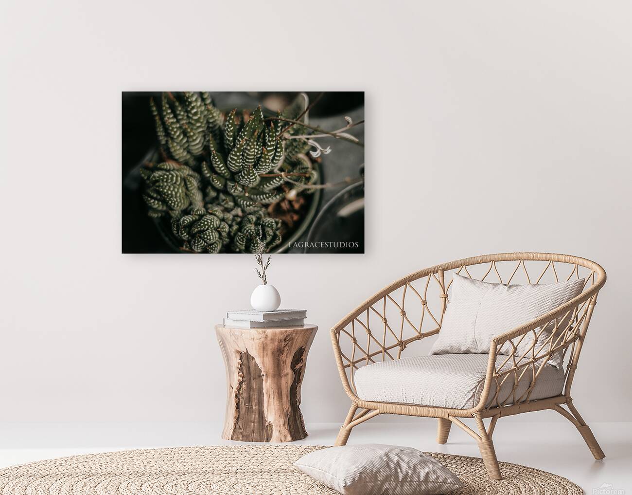 PHYTOLOGICAL_101 Reproduction