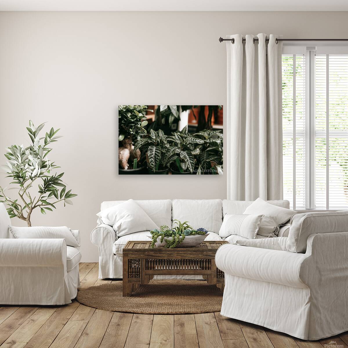 FOLIAGE Reproduction