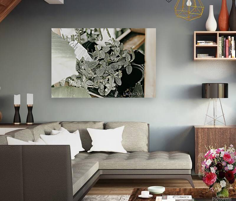  BRIGHT & AIRY Reproduction
