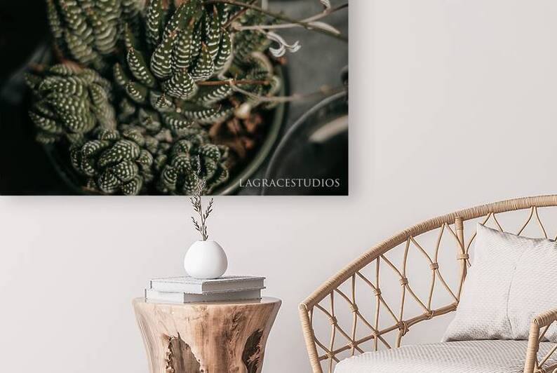 PHYTOLOGICAL_101 by laGraceStudios