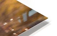 SPRING HD Metal print