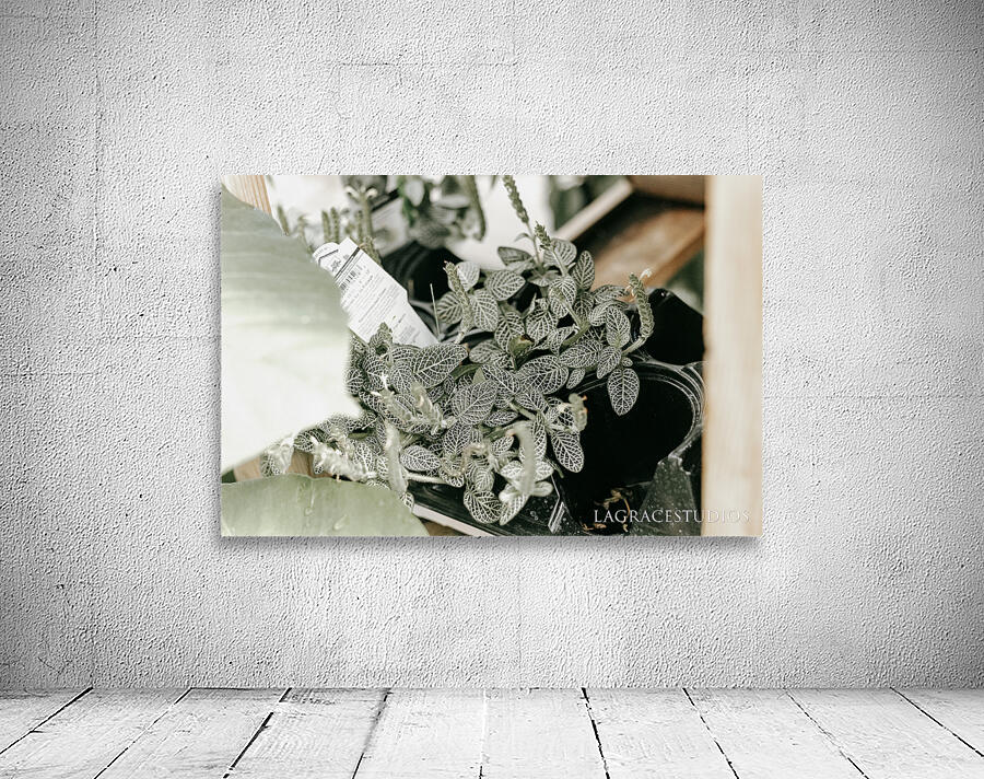  BRIGHT & AIRY Wall Preview