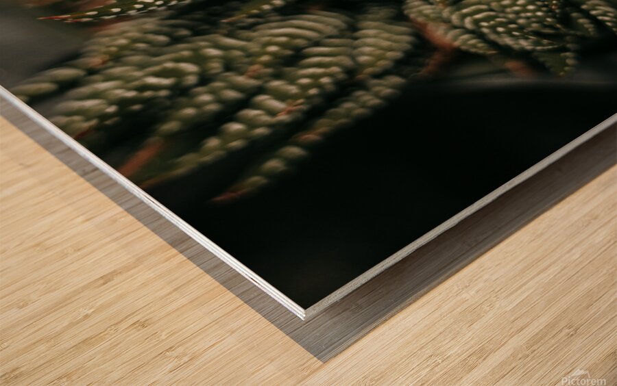 PHYTOLOGICAL_101 Wood print