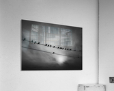 Birds on Wire Acrylic Print