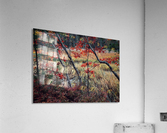 ET Acrylic Print