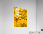 Ginkgo Acrylic Print