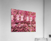 Munjoy Hill Acrylic Print