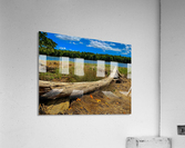 Florida Loop Log Acrylic Print