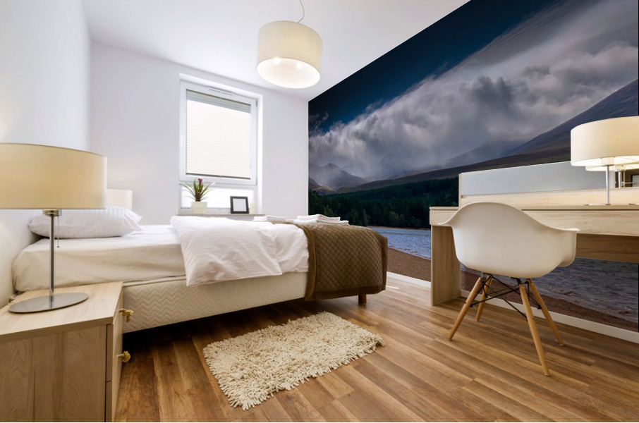 Scottish Lake Mural print