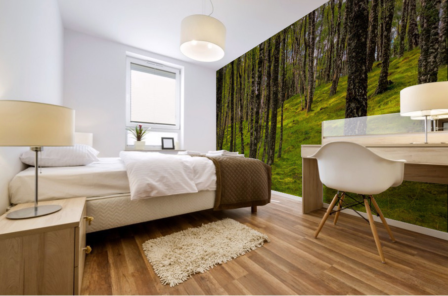 Scottish Woods Mural print