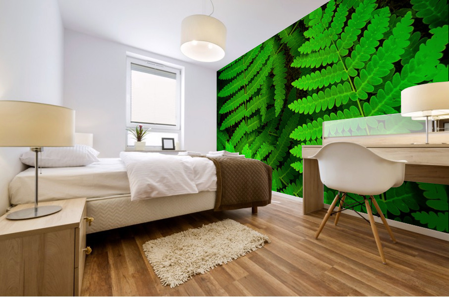 Ferns F Mural print