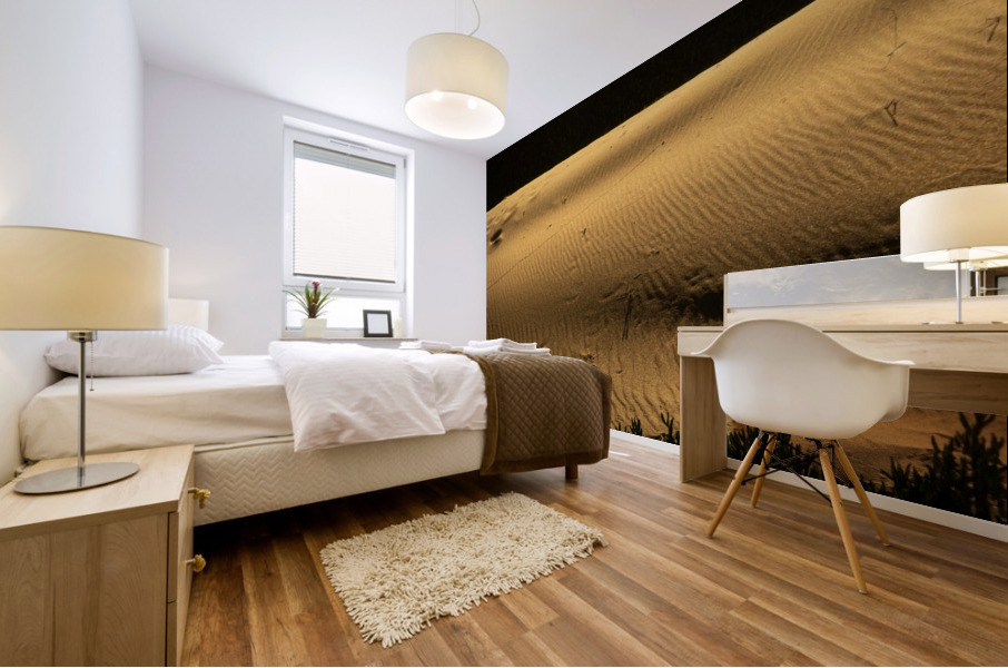 Dunes Mural print