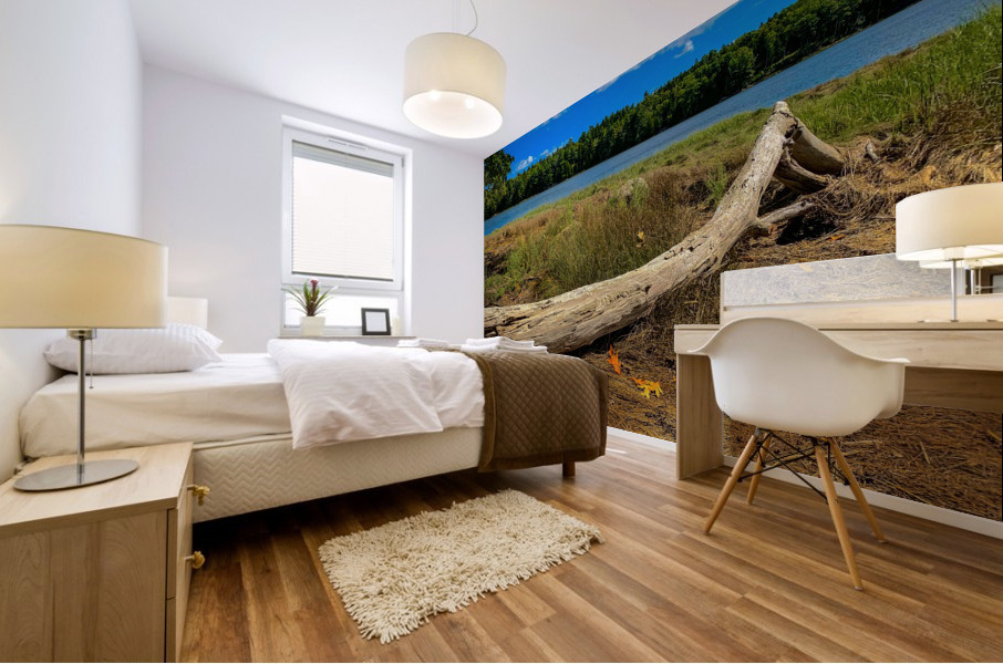Florida Loop Log Mural print