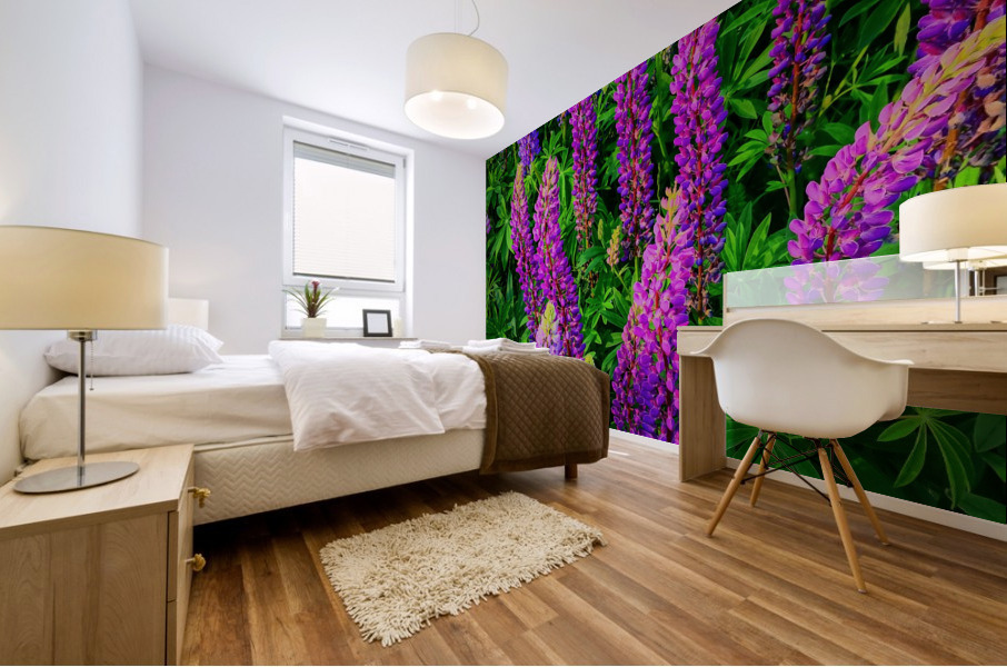 Lupines Mural print
