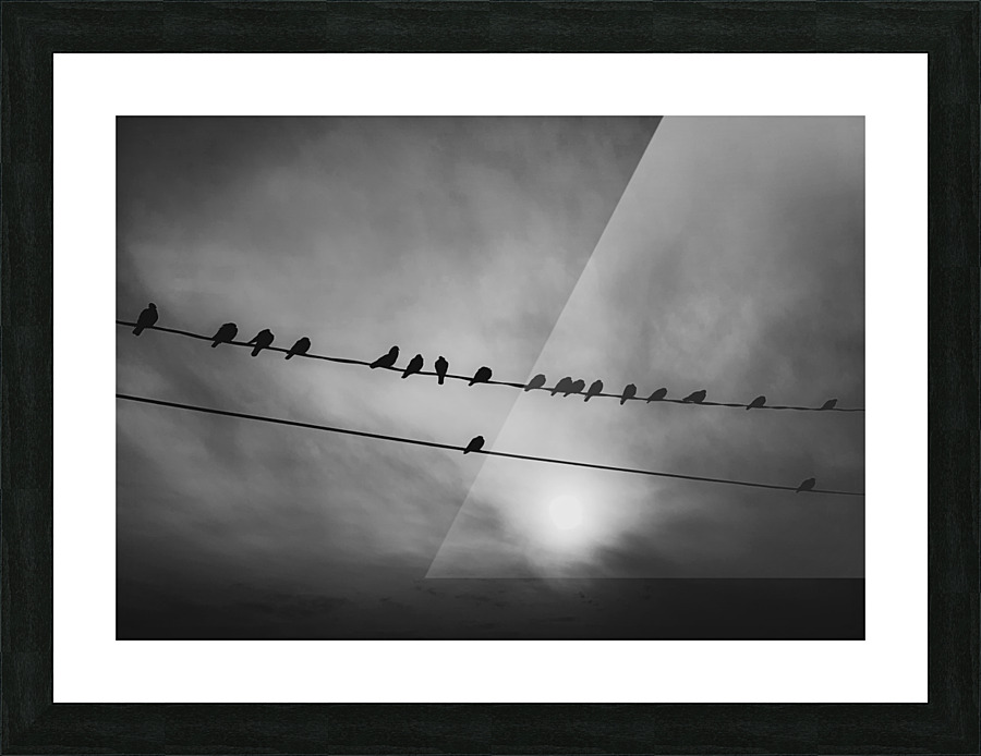 Birds on Wire Picture Frame print