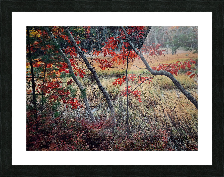 ET Picture Frame print