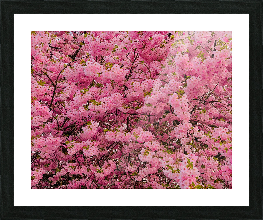 Munjoy Hill Picture Frame print