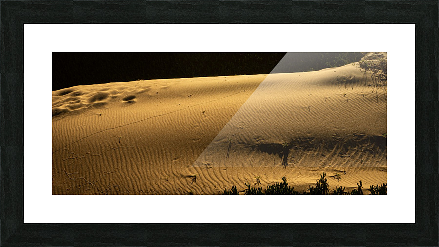 Dunes Picture Frame print