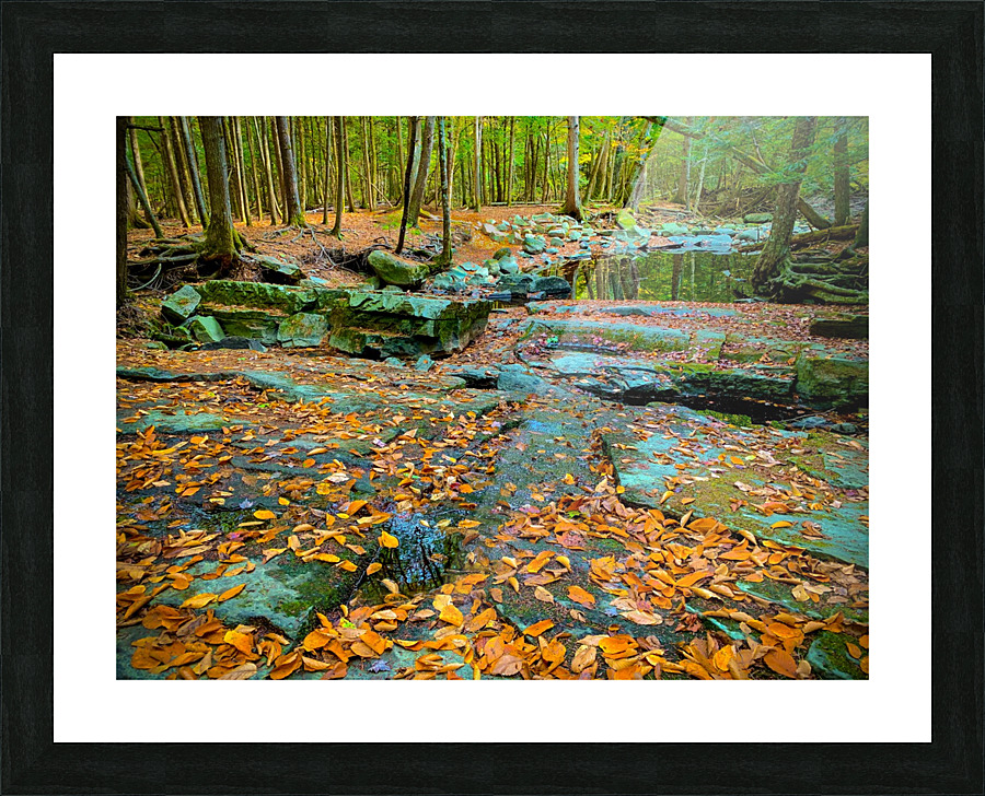Pratt s Brook ParkF Picture Frame print