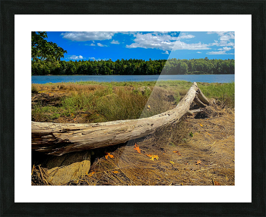 Florida Loop Log Picture Frame print