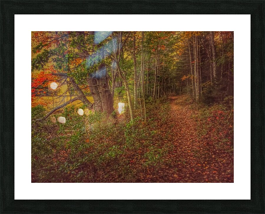 Bath  Maine Picture Frame print