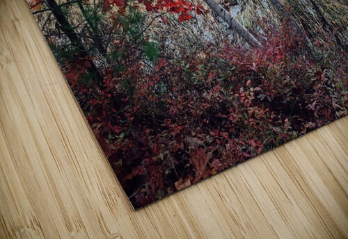 ET Kevin R Schochat puzzle
