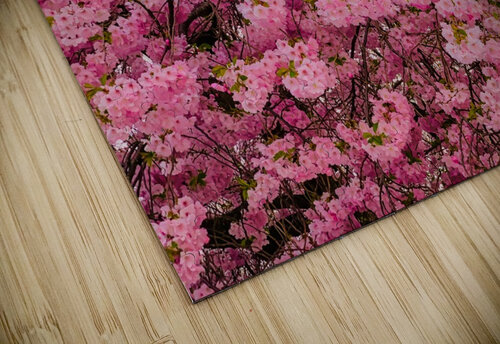Munjoy Hill Kevin R Schochat puzzle