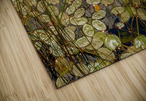 Florida Loop Kevin R Schochat puzzle