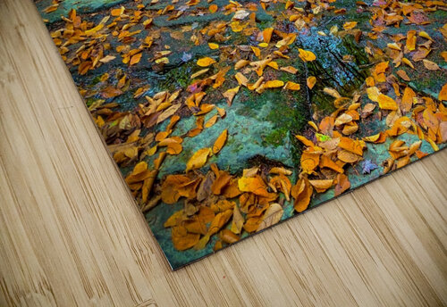 Pratt s Brook ParkF Kevin R Schochat puzzle