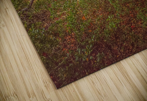 Bath  Maine Kevin R Schochat puzzle
