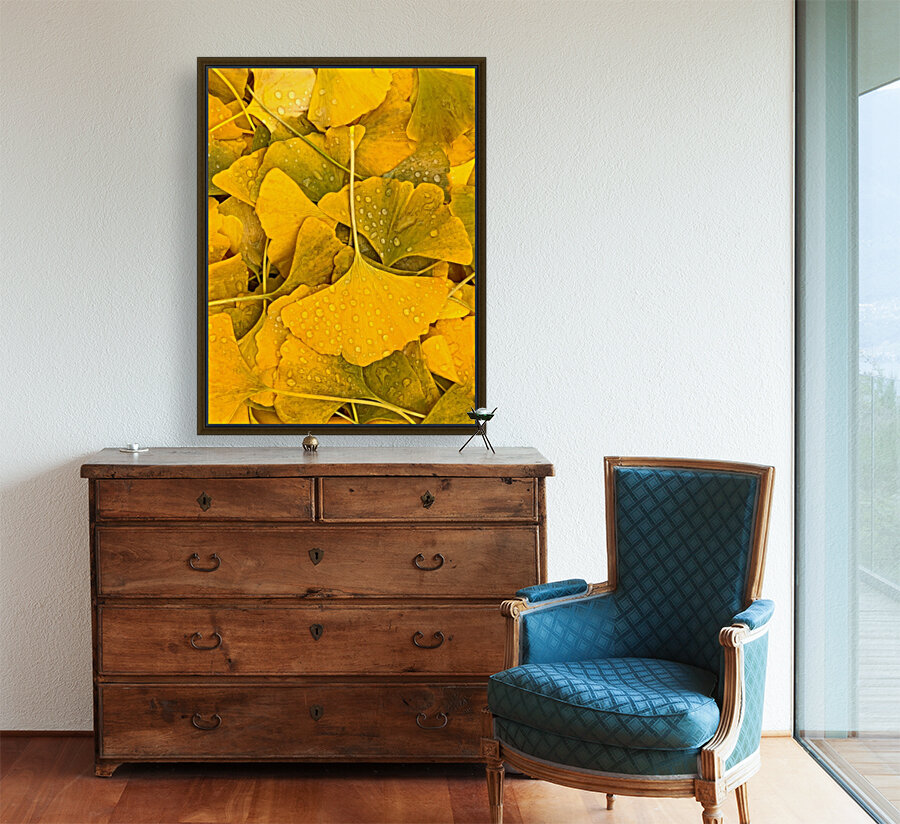 Ginkgo Reproduction