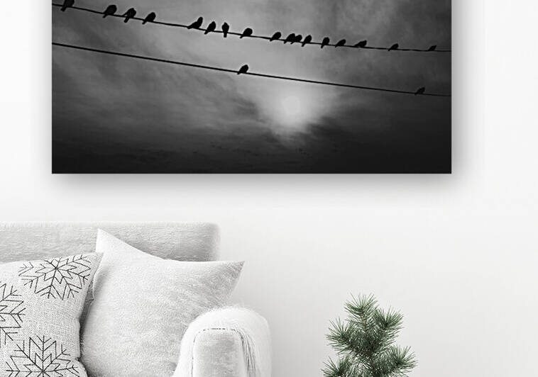Birds on Wire by Kevin R Schochat