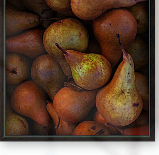 Pears F by Kevin R Schochat