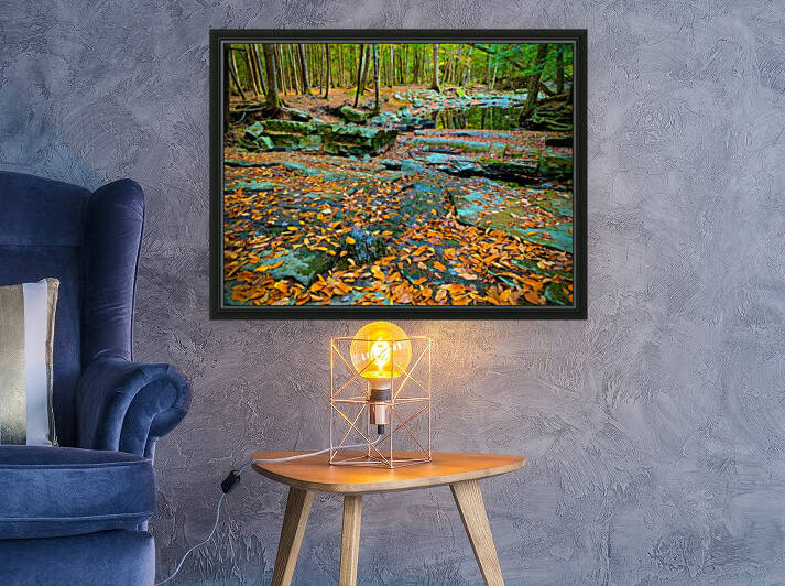 Pratt s Brook ParkF by Kevin R Schochat