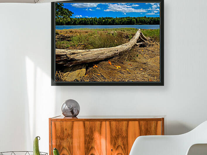 Florida Loop Log by Kevin R Schochat