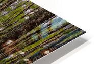 Scottish Woods HD Metal print