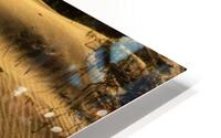Dunes HD Metal print