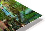 Pratt s Brook ParkF HD Metal print