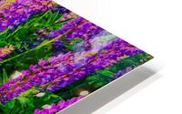 Lupines HD Metal print