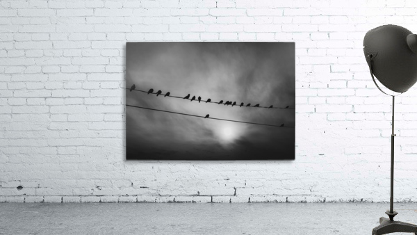 Birds on Wire Wall Preview