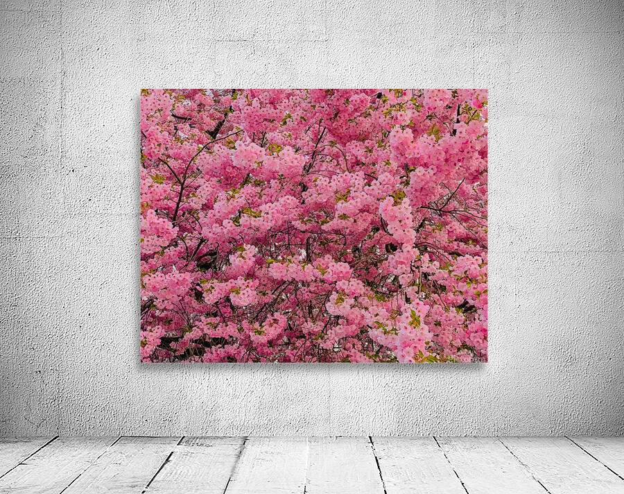 Munjoy Hill Wall Preview