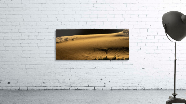 Dunes Wall Preview