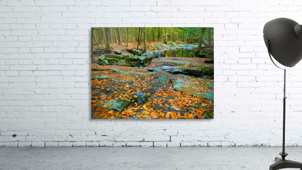 Pratt s Brook ParkF Wall Preview